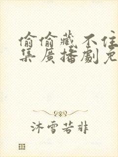 偷偷藏不住18集广播剧免费听