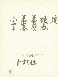 小弟弟硬度不够了怎么办