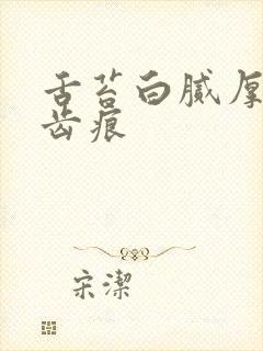 舌苔白腻厚 有齿痕