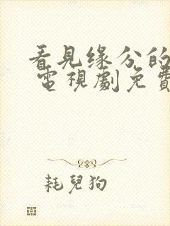 看见缘分的少女 电视剧免费观看