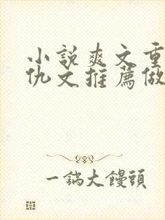 小说爽文重生复仇文推荐做女主