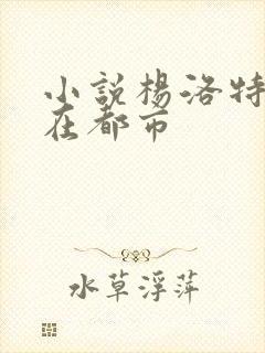 小说杨洛特种兵在都市