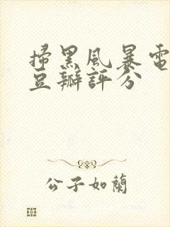 扫黑风暴电视剧豆瓣评分