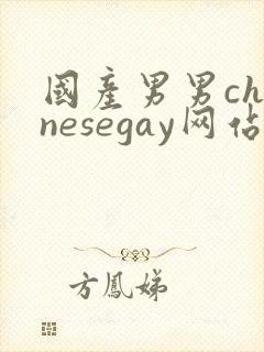 国产男男chinesegay网站封面