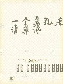 一个鼻孔老是流清鼻涕