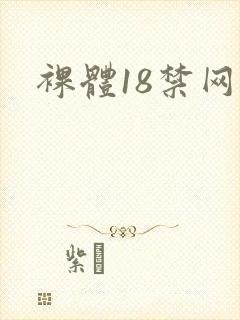 裸体18禁网站