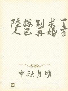 陆总别求了,夫人已再婚有娃了短剧免费观看