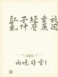 肚子经常放屁胀气什么原因