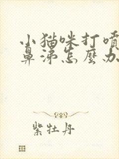 小猫咪打喷嚏流鼻涕怎么办