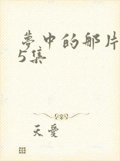 梦中的那片海15集