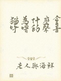 猫为什么会呼噜呼噜的声音呢