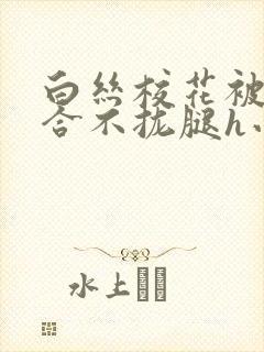 白丝校花被c得合不拢腿h小说