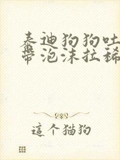 泰迪狗狗吐黄水带泡沫拉稀