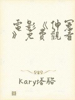 电影《伸冤人4》免费观看全集封面