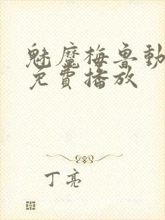 魅魔梅鲁动漫版免费播放封面