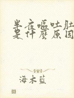 半夜呕吐肚子疼是什么原因