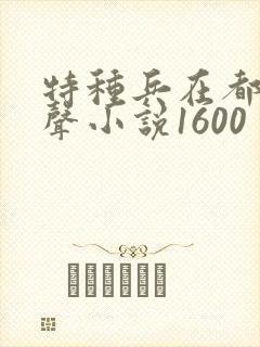 特种兵在都市有声小说1600