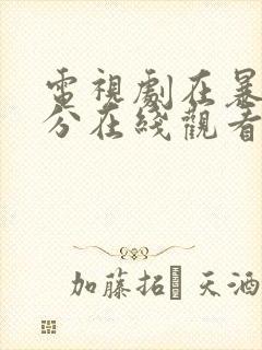 电视剧在暴雪时分在线观看