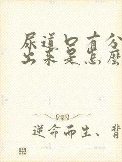 尿道口有分泌物出来是怎么回事