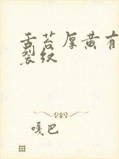 舌苔厚黄有齿痕裂纹