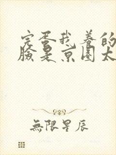 完蛋我养的小白脸是京圈太子爷短剧