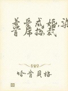 惹爱成婚,染指首席总裁封面