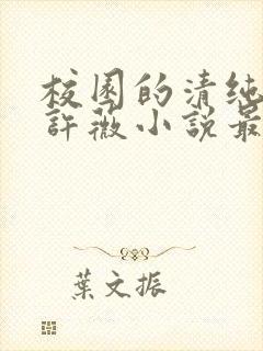 校园的清纯校花许薇小说最新章节列封面