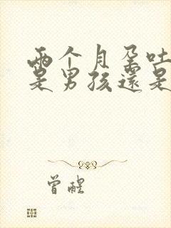 两个月孕吐厉害是男孩还是女孩