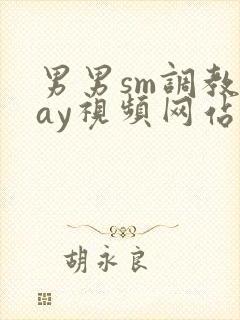 男男sm调教gay视频网站