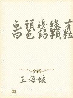 龟头边缘有一颗白色的颗粒