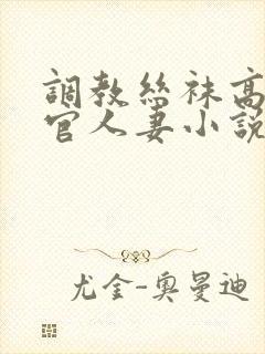 调教丝袜高跟高官人妻小说