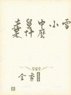 老舅中小雪结局是什么