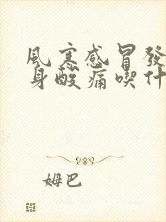 风寒感冒发烧全身酸痛吃什么药