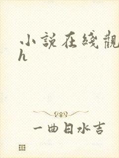 小说在线观看高h