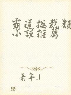 霸道总裁类型的小说推荐