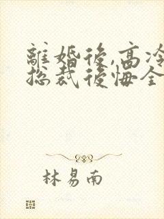 离婚后,高冷女总裁后悔全本封面