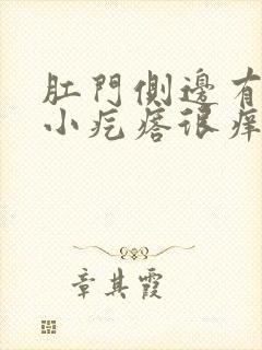 肛门侧边有一个小疙瘩很痒