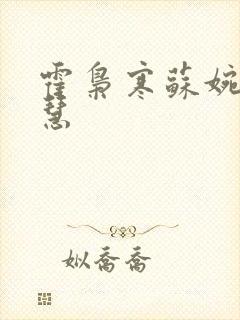 霍枭寒苏婉苏晓慧