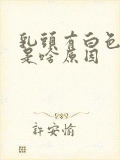 乳头有白色颗粒是啥原因