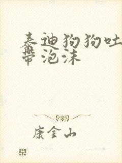 泰迪狗狗吐黄水带泡沫