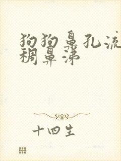 狗狗鼻孔流黄粘稠鼻涕