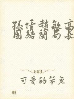 孙倩赵敏高义大团结兰局长