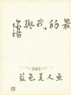 你与我的最后战场封面