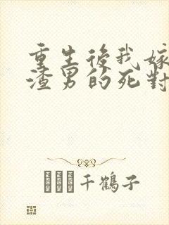 重生后我嫁给了渣男的死对头原著