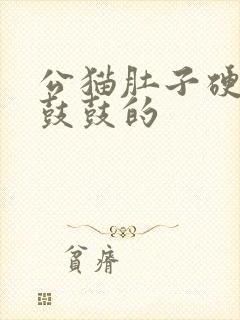 公猫肚子硬硬的鼓鼓的