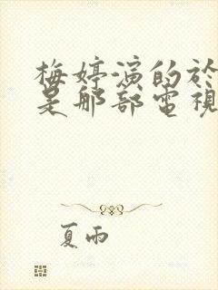 梅婷演的于文娟是那部电视剧