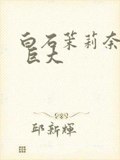 白石茉莉奈黑人 巨大封面