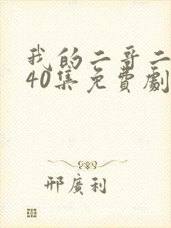 我的二哥二嫂全40集免费剧情