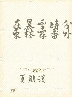 在暴雪时分孟晓东林霖番外
