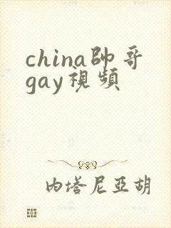 china帅哥gay视频